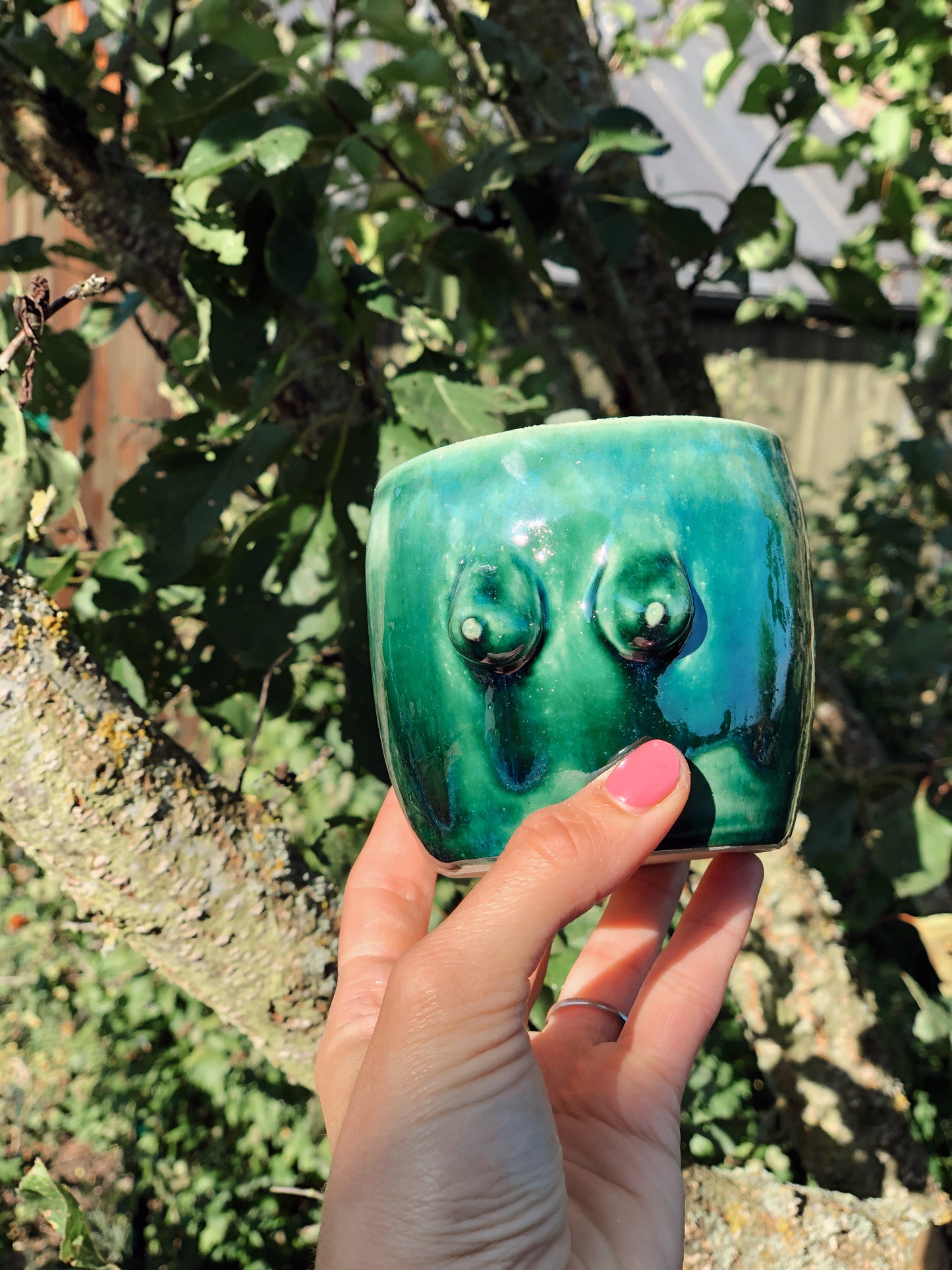 Boobies