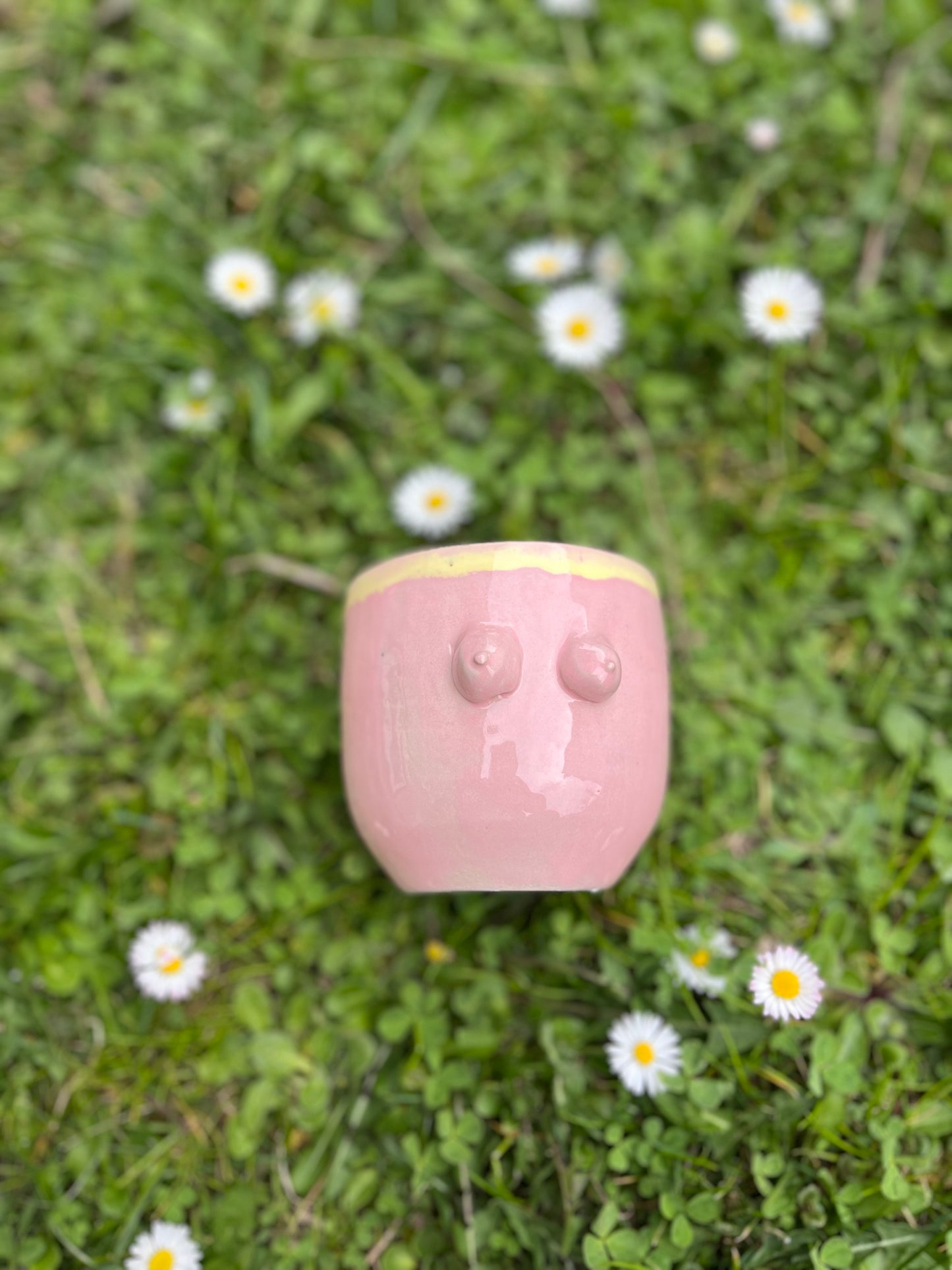 Becher Boobs