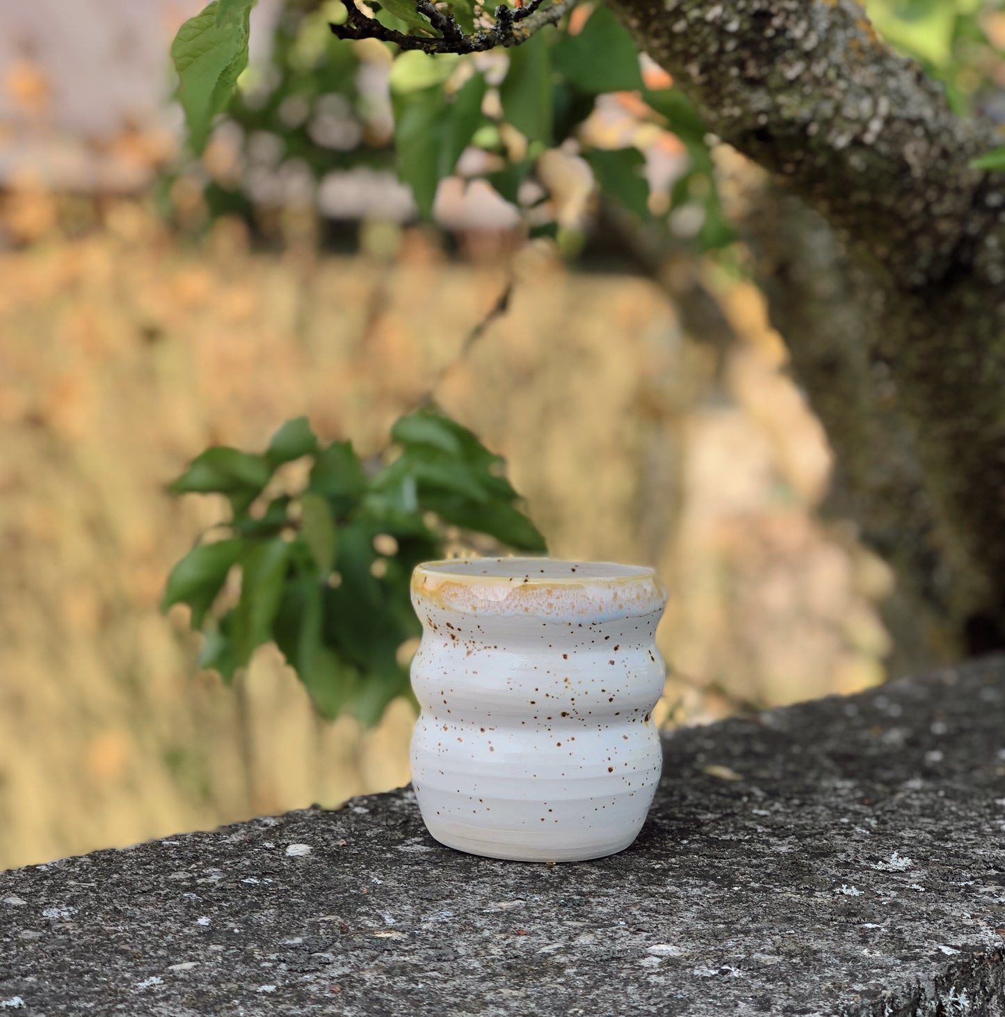 Becher Gänseblümchen