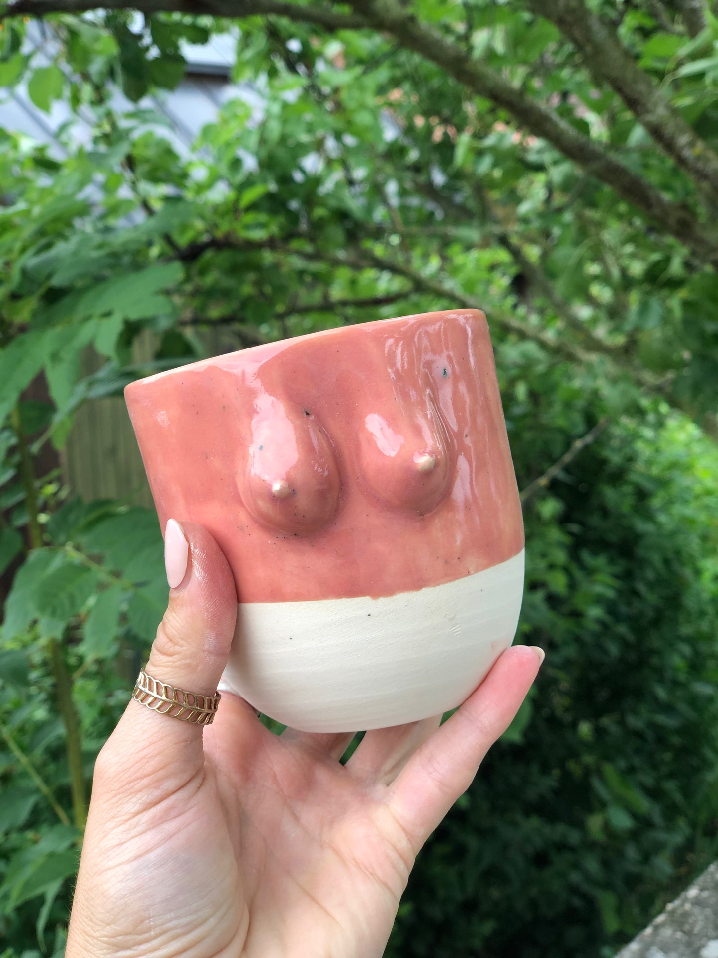 Boobies