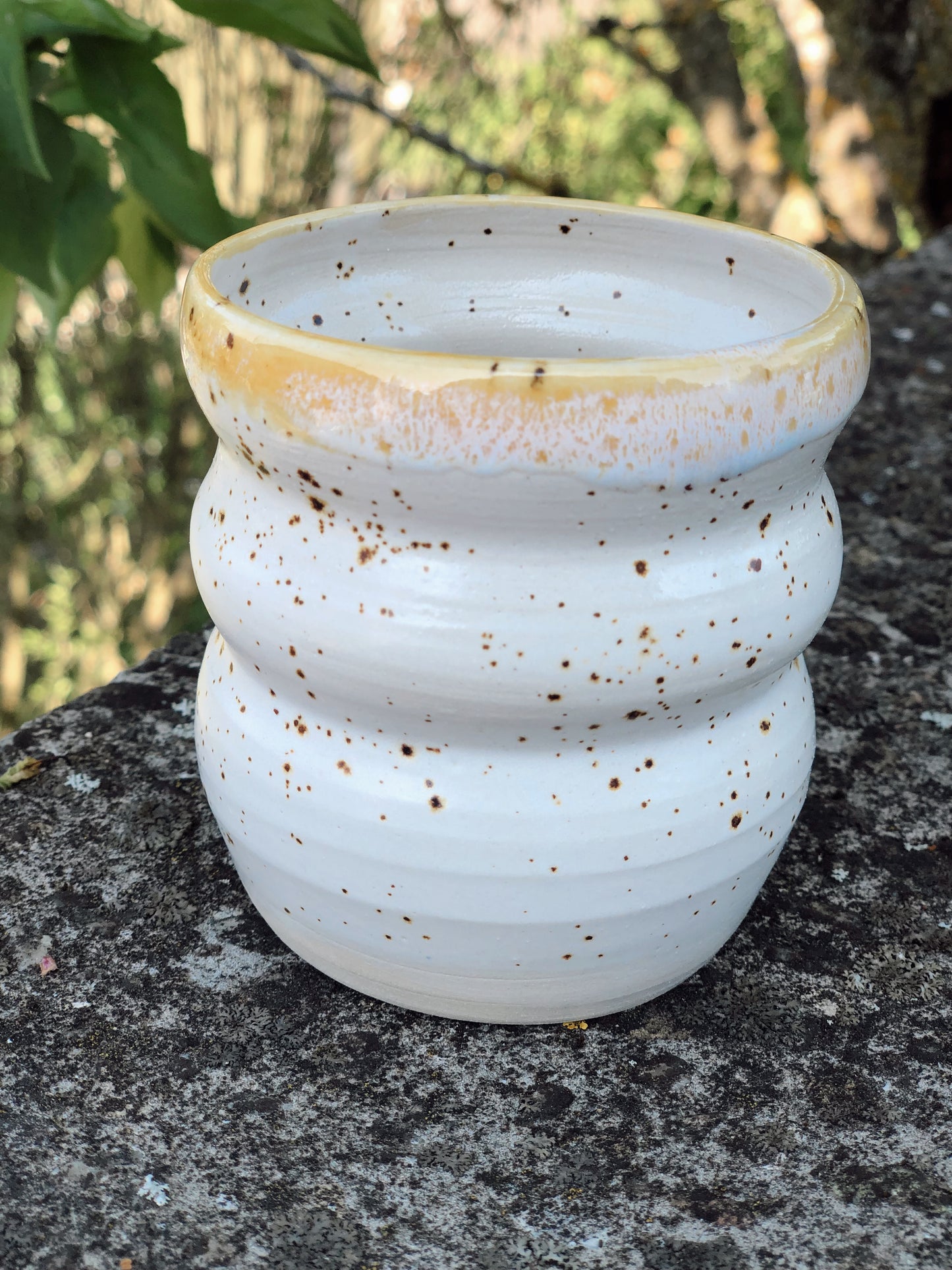 Becher Gänseblümchen