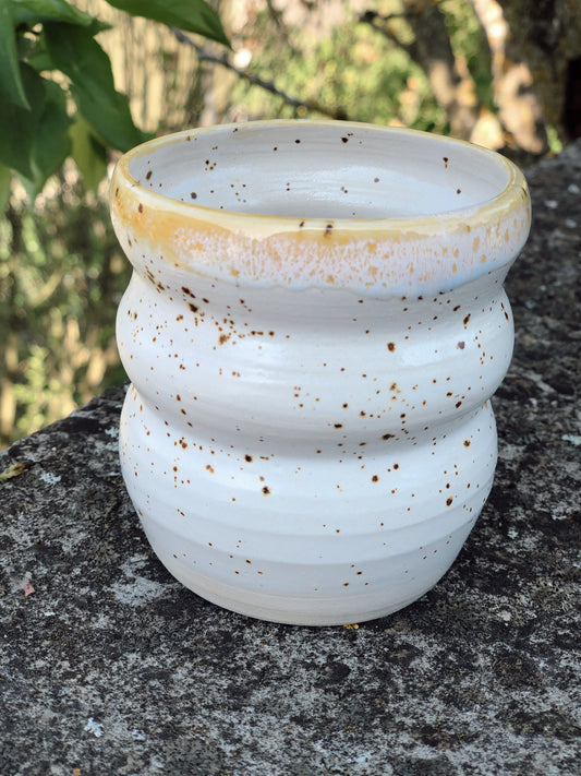Becher Gänseblümchen