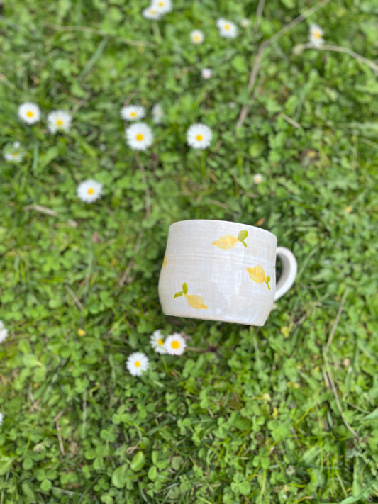 Tasse Zitronen