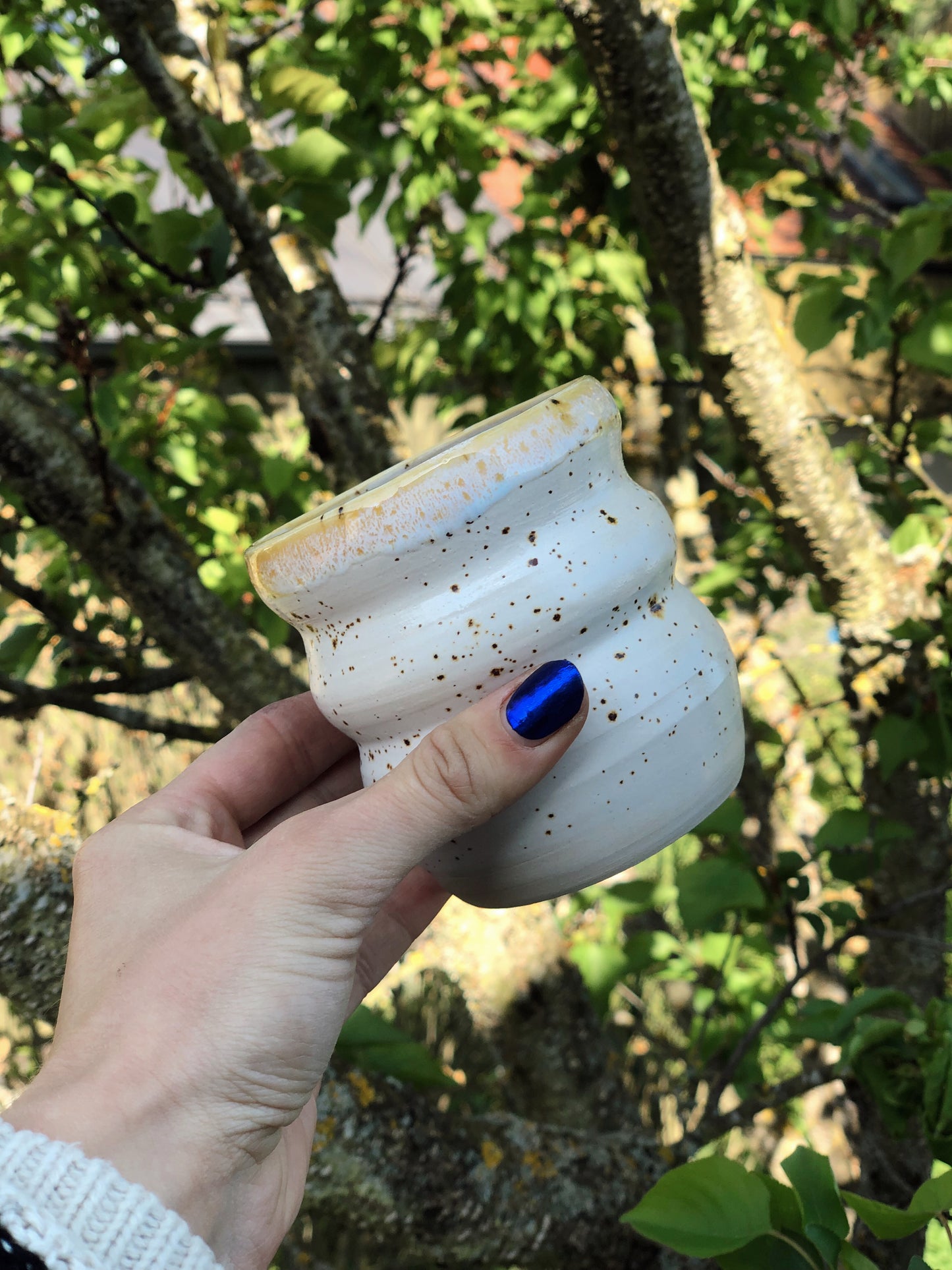 Becher Gänseblümchen